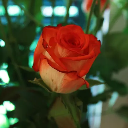 Adagio Theatre * Spalato